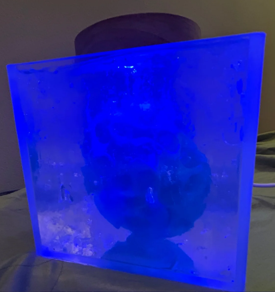 (signed) This Is Not What Thought / Yuri Hasegawa